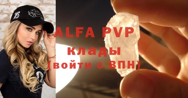 стафф Бородино