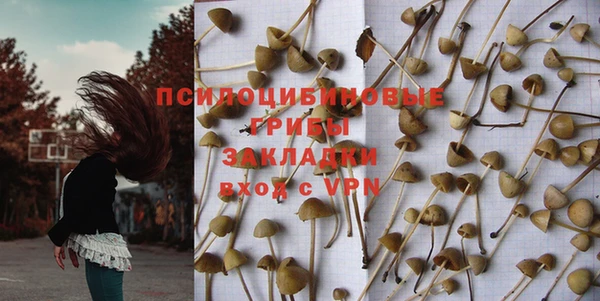 мескалин Богородицк