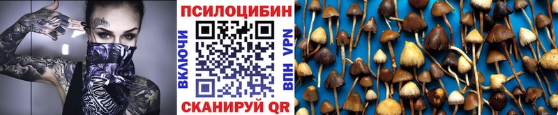 Псилоцибиновые грибы ЛСД  Гусев 